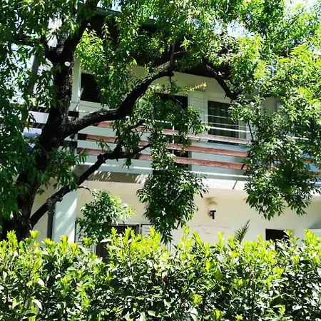 Felix Apartment Biograd 비오그라드나모루 외부 사진