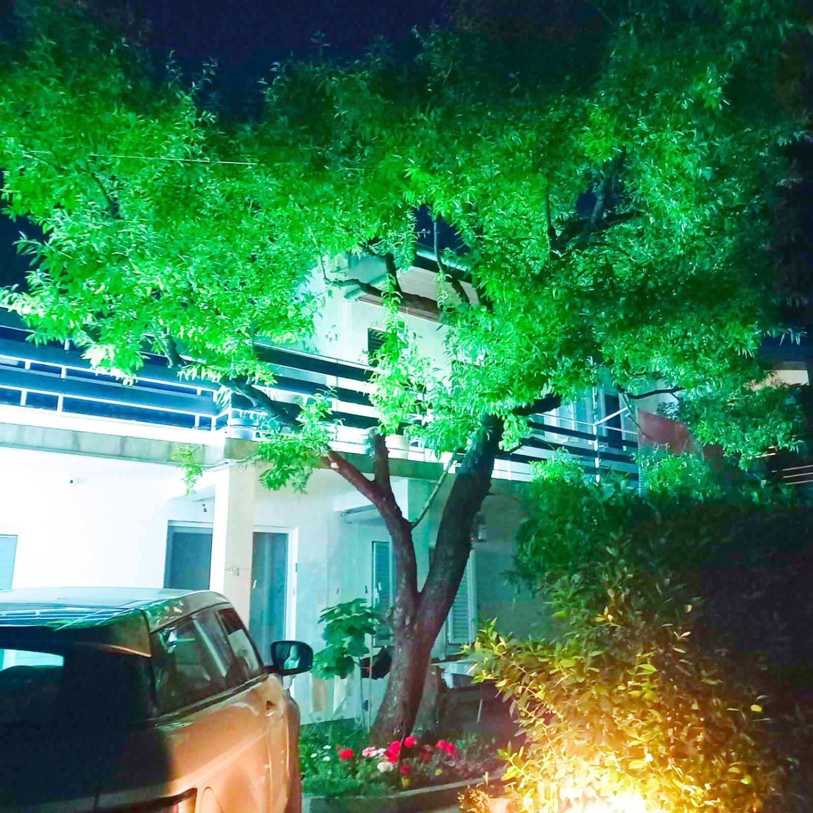Felix Apartment Biograd 비오그라드나모루 외부 사진
